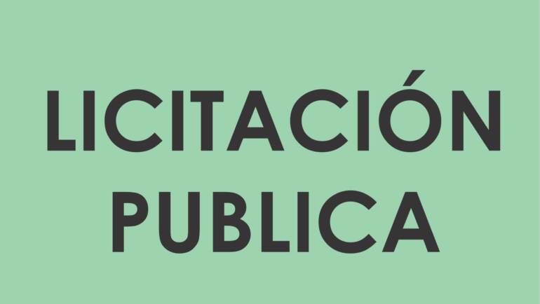 Licitación Pública N° 1 /2024